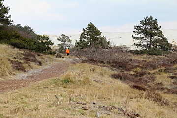 Hargen aan Zee