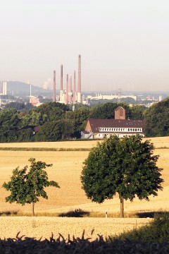 Blick in die Niederrheinische Bucht